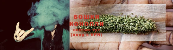 PSILOCYBIN Рославль