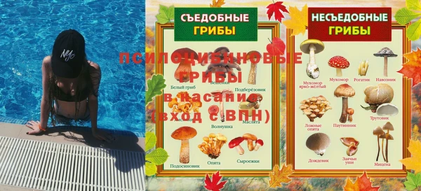 молекула духа Абинск