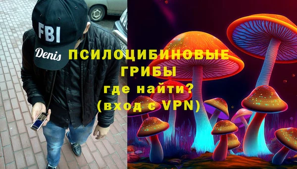 PSILOCYBIN Рославль