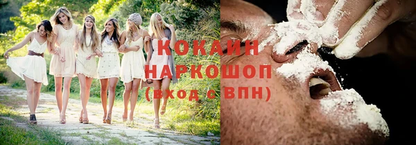 PSILOCYBIN Рославль