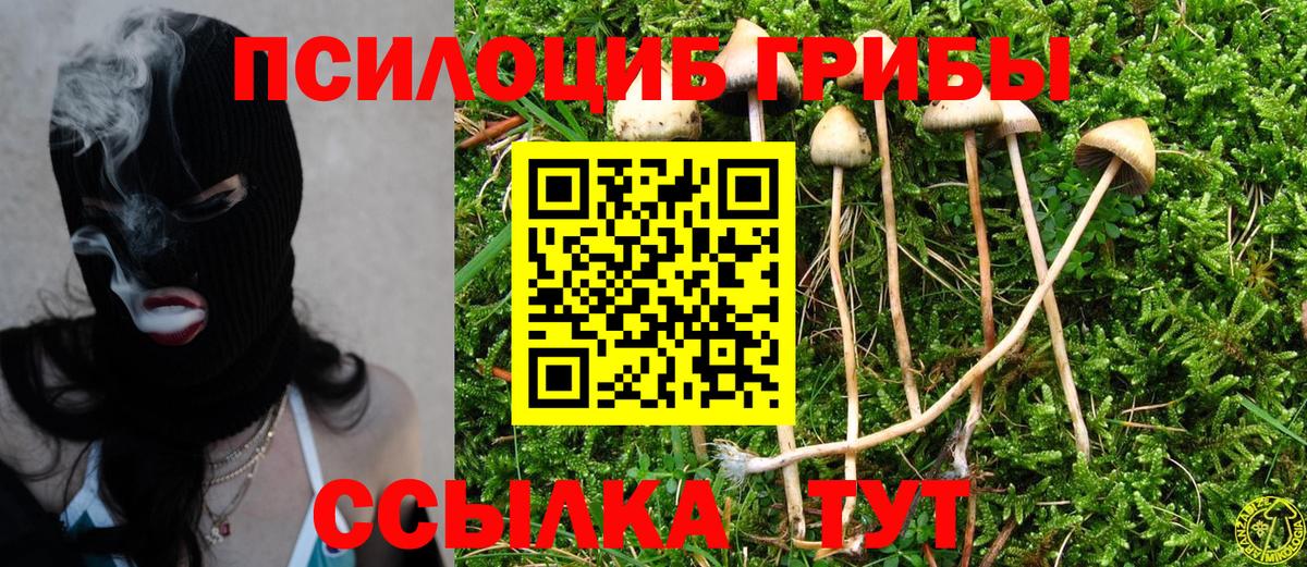 Галлюциногенные грибы Psilocybe  Псилоцибиновые грибы прущие грибы  Вход с VPN  Сафоново 